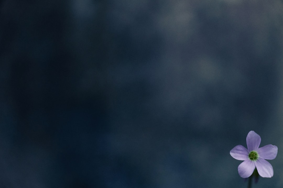 PVC vloer schoonmaken doe je zo: makkelijk en fris voor iedere dag